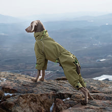 Load image into Gallery viewer, fleece lined, full leg dog trouser suit for winter