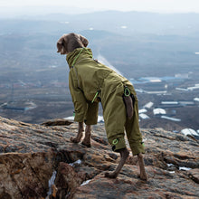 Load image into Gallery viewer, fleece lined, full leg dog trouser suit for winter