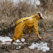 Load image into Gallery viewer, fleece lined, full leg dog trouser suit for winter