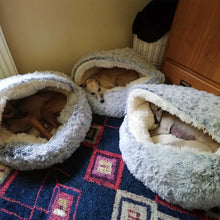Load image into Gallery viewer, Three whippets in fluffy cove beds on a patterned rug.