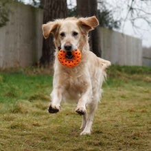 Load image into Gallery viewer, tough floating dog toy donut with strap