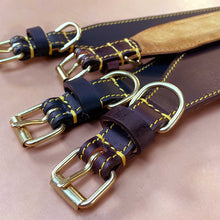 Load image into Gallery viewer, Traditional fish tail leather sighthound collars with brass fittings
