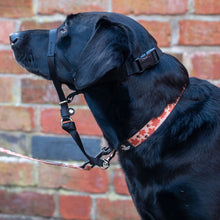 Load image into Gallery viewer, Nylon Training Halter
