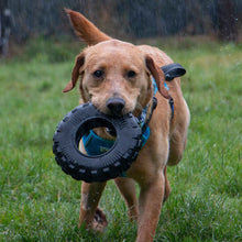 Load image into Gallery viewer, floating tyre tough dog toy