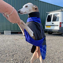 Load image into Gallery viewer, Felton - Sighthound Coat with Underbelly and Harness Hole