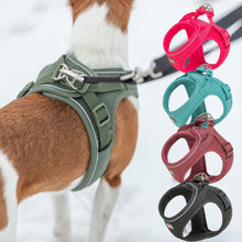 Load image into Gallery viewer, A dog harness worn by a brown and white dog in the snow, with four color options shown on the right: pink, teal, burgundy, and black.