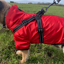 Load image into Gallery viewer, built in harness red waterproof dog coat