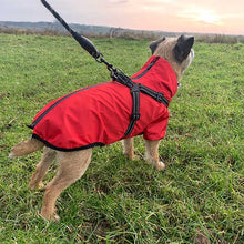 Load image into Gallery viewer, red dog coat with waterproof zip and harness