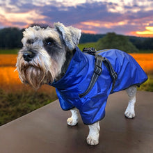 Load image into Gallery viewer, Schnauzer dog coat