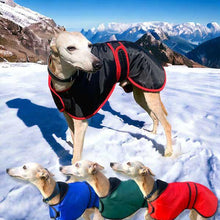 Load image into Gallery viewer, vetra sighthound coat in black red blue green