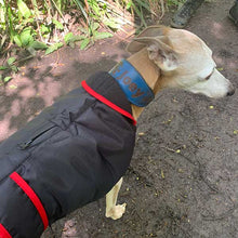 Load image into Gallery viewer, zip close/open harness hole. Waterproof whippet / greyhound coat