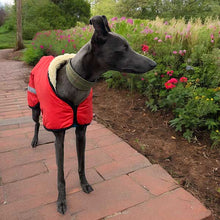 Load image into Gallery viewer, windproof winter whippet coats