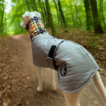 Load image into Gallery viewer, best whippet coats for winter