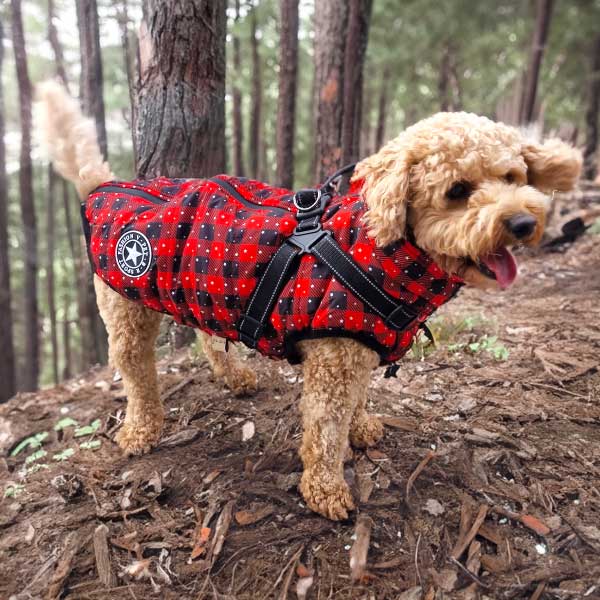 Winter Warm Dog Jacket With Built-in Harness - Waterproof Coat For Small & Medium Dogs