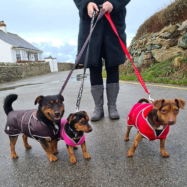 STORM GUARD Dog Coat with Harness Hole and Underbelly Protection