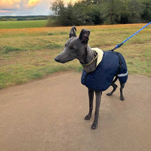 Load image into Gallery viewer, blue whippet coat with warm sherpa fleece