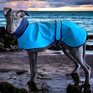 best Italian greyhound coats UK