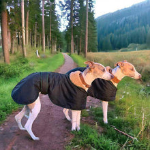 Load image into Gallery viewer, trendy whippet waxed green greyhound whippet coats