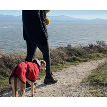 Load image into Gallery viewer, wind proof and water proof whippet coats uk
