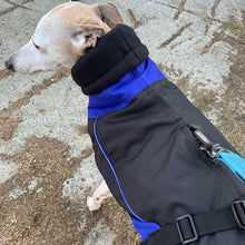 Load image into Gallery viewer, Felton - Sighthound Coat with Underbelly and Harness Hole