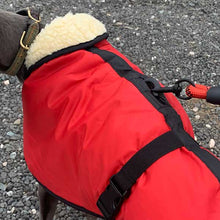 Load image into Gallery viewer, harness hole whippet coats