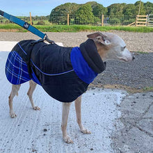 Load image into Gallery viewer, Felton - Sighthound Coat with Underbelly and Harness Hole