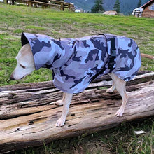 Load image into Gallery viewer, Camouflage whippet and greyhound coats with harness hole