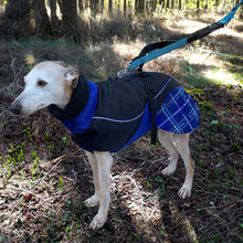 Load image into Gallery viewer, Felton - Sighthound Coat with Underbelly and Harness Hole