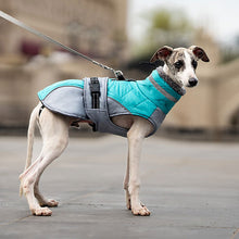 Load image into Gallery viewer, ottawa green coat on whippet lurcher