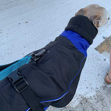 Load image into Gallery viewer, Felton - Sighthound Coat with Underbelly and Harness Hole