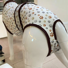 Load image into Gallery viewer, post surgery whippet suit