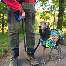Load image into Gallery viewer, greyhound and whippet coats for winter - rainbow paw design