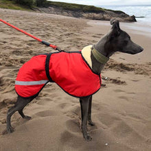 Load image into Gallery viewer, whippet on the beach in a drydogs sherpa fleece coat
