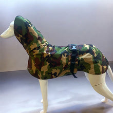 Load image into Gallery viewer, whippet coat with long neck covering the ears