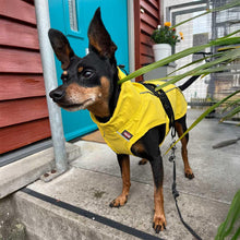 Load image into Gallery viewer, Dog wearing a yellow raincoat standing on a sidewalk next to a building with a blue door.