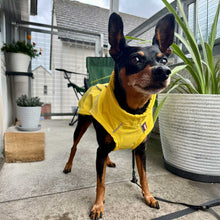 Load image into Gallery viewer, yellow lightweight summer dog coat