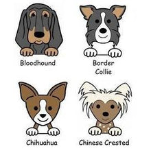 Load image into Gallery viewer, Personalised Embroidered Dog Blanket inc. Name