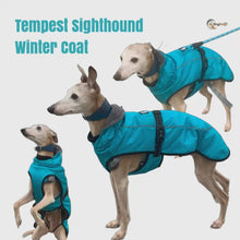 Load and play video in Gallery viewer, Tempest Winter Sighthound Coat with Harness Hole
