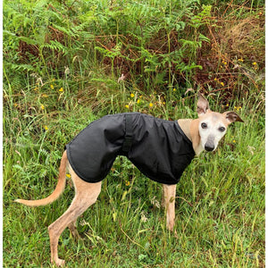 sighthound coat for summer warm weather. lightweight black whippet coat