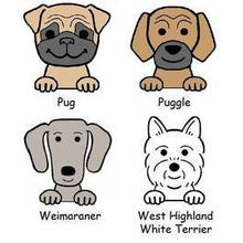 Load image into Gallery viewer, Personalised Embroidered Dog Blanket inc. Name