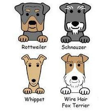 Load image into Gallery viewer, Personalised Embroidered Dog Blanket inc. Name