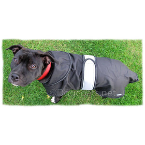 from above - staffordshire bull terrier coats