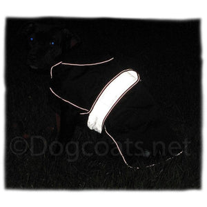 highly reflective dog coat with reflective strap and piping. staffy coat