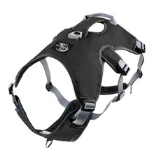 Load image into Gallery viewer, best whippet harness black
