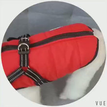Load and play video in Gallery viewer, Wintro - Quilted Waterproof Dog Coat with Built in Harness
