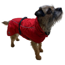 Load image into Gallery viewer, all weather dog coat with reflective, chest protection, leg straps, clip fastener, snood hood
