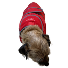 Load image into Gallery viewer, border terrier coats
