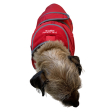 Load image into Gallery viewer, border terrier coats