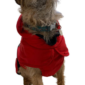 dog coat with chest and belly protection and hood