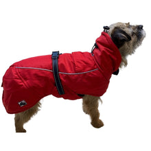 Load image into Gallery viewer, all weather winter dog coat with reflective and belly protection